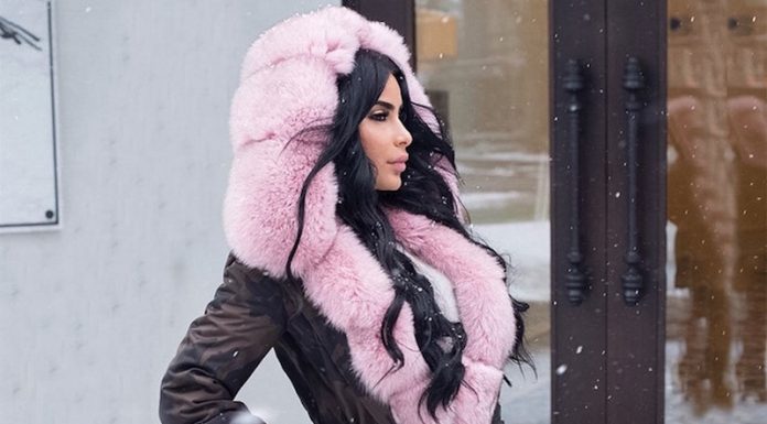 Parkas vestes à la mode 2025-2026: actualités, tendances, images à la mode - photos